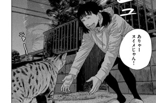 第４６話 猫になったんだよな君は 표지