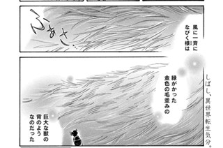 第７５２羽 표지