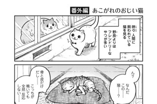 18화 番外編９ 표지