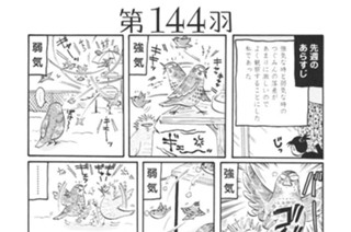 第１４４羽 표지