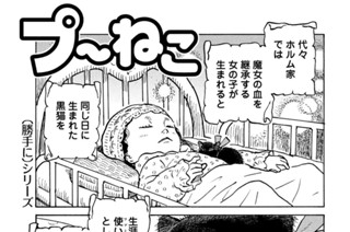 第２４４回 표지