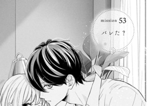 ｍｉｓｓｉｏｎ５３ バレた？ 표지