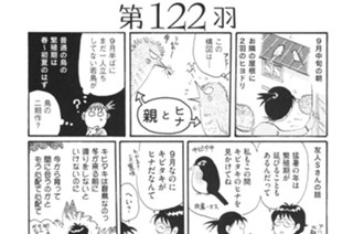 第１２２羽 표지