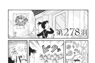 第２７８羽 표지