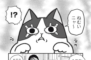 第９話 猫と睡魔 표지