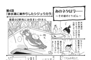 あのネタは今……〜その後のとりぱん〜 표지