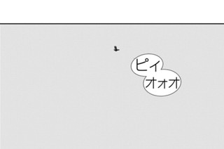 第１３５話 （４） 표지