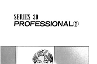 ＳＥＲＩＥＳ ３０ ＰＲＯＦＥＳＳＩＯＮＡＬ 표지