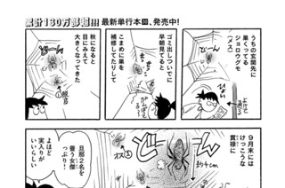 第８４５羽 표지