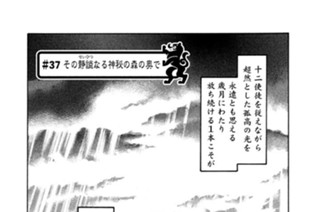 ＃３７ その静謐（せいひつ）なる神秘の森の奥で 표지