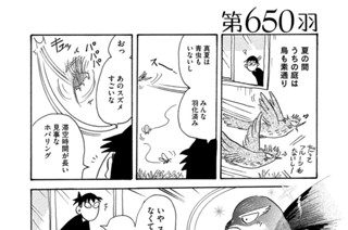 第６５０羽 표지