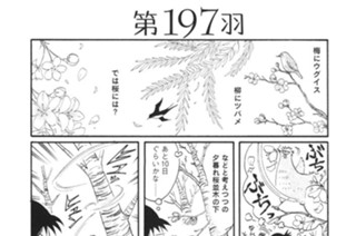 第１９７羽 표지