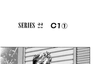 ＳＥＲＩＥＳ ２２ Ｃ１ 표지
