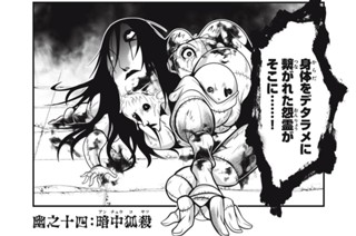 幽之十四：暗中狐殺 표지