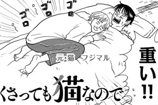 第７話 猫の手借りるべからず 표지
