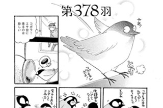 第３７８羽 표지