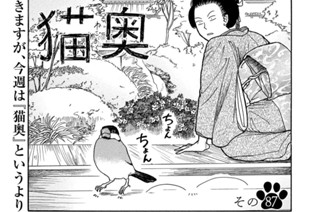 その８７ 표지