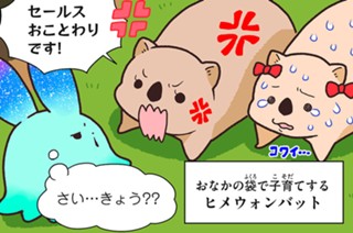 第２６話 ヒメウォンバット 표지