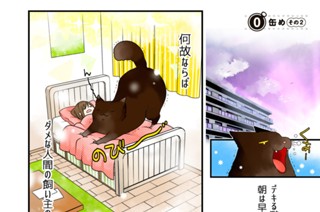 14화 ０缶め その２ 표지