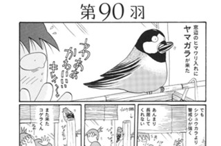 第９０羽 표지