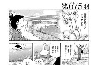 第６７５羽 표지