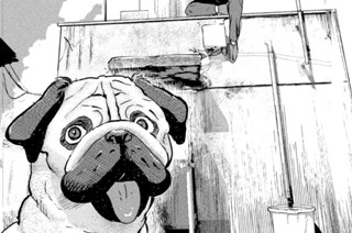 ＃５ 服を着た犬 표지