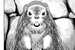 【第4座(2)】地蔵盆の水辺(後編) 표지