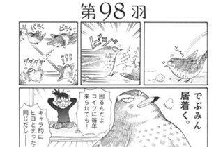 第９８羽 표지