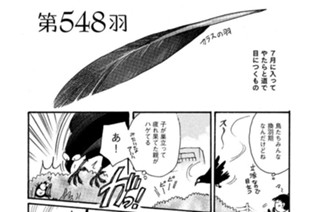 第５４８羽 표지