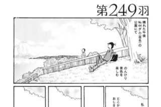 第２４９羽 표지