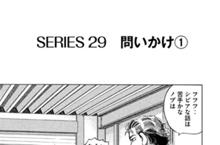 ＳＥＲＩＥＳ２９ 問いかけ 표지