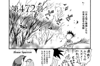 第４７２羽 표지