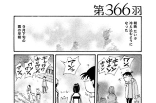 第３６６羽 표지