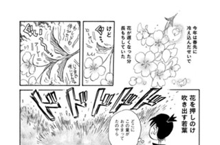 第５８９羽 표지