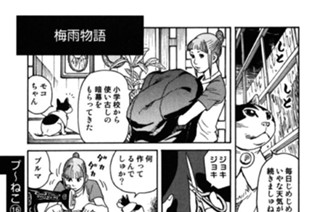 プ〜ねこ（１６） 표지