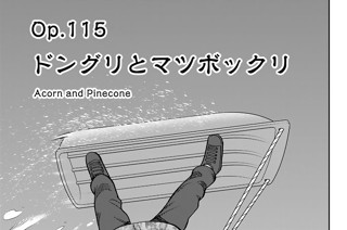 Ｏｐ．１１５ ドングリとマツボックリ 표지