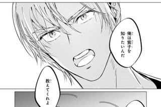 かりずまいメイストーム（２） 표지