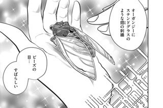 Stitch.23 お披露目会 표지