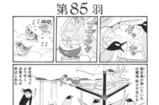 第８５羽 표지