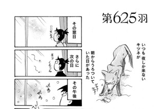 第６２５羽 표지