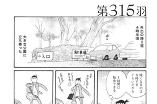 第３１５羽 표지