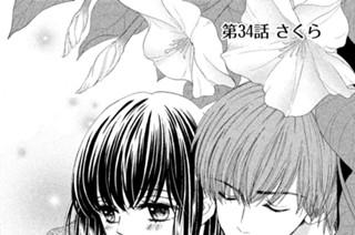 第３４話 さくら 표지