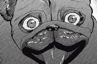 ＃７２ ボコる犬 표지