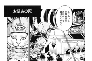 プ〜ねこ（４１） 표지