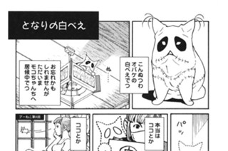 プ〜ねこ（２３） 표지