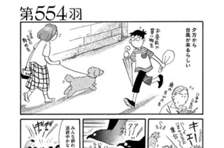 第５５４羽 표지