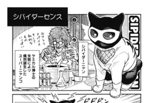 プ〜ねこ（８１） 표지
