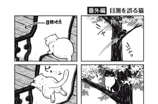 13화 番外編５ 표지