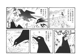 第１１７羽 표지