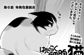 【第6話 (1)】特発性膀胱炎 표지